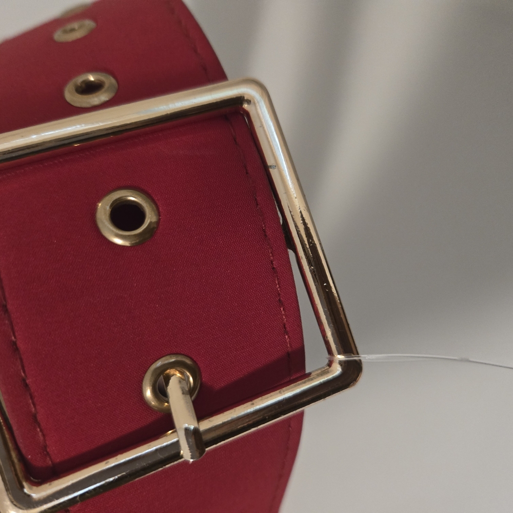 Elegant 3 Inch Red Belt with Gold Buckle